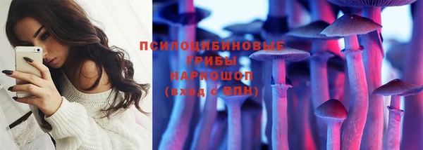 СК Арсеньев