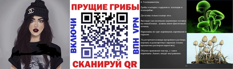 Галлюциногенные грибы Psilocybine cubensis Уяр