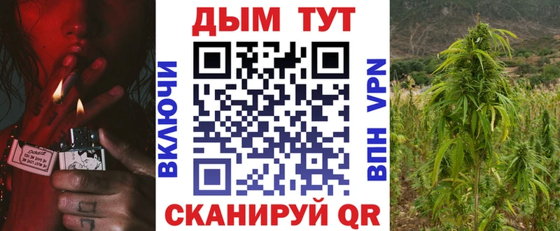Бошки марихуана Amnesia  Уяр 